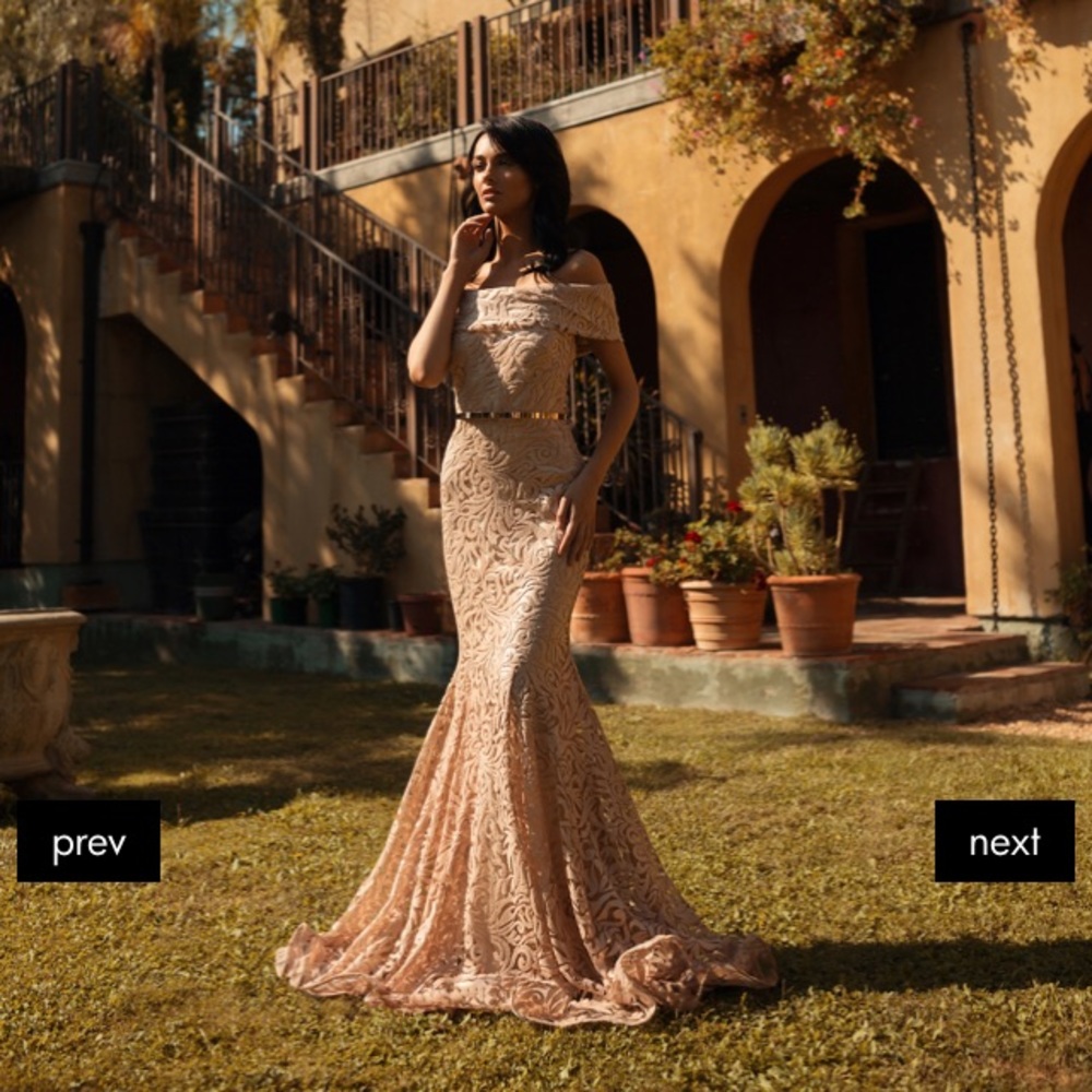 Nicole Bakti Gorgeous Off-the-Shoulder Gown